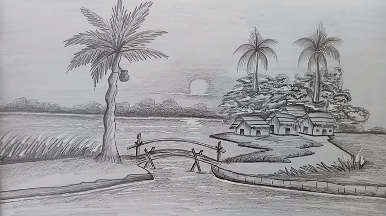 Cách vẽ cây dừa đơn giản bằng bút chì như thế nào?
