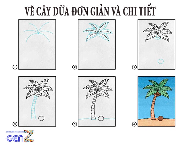Cách Vẽ Cây Dừa Bằng Bút Chì, 10 Bước Vẽ Cây Dừa Đơn Giản, Đẹp Và Chi Tiết  Nhất