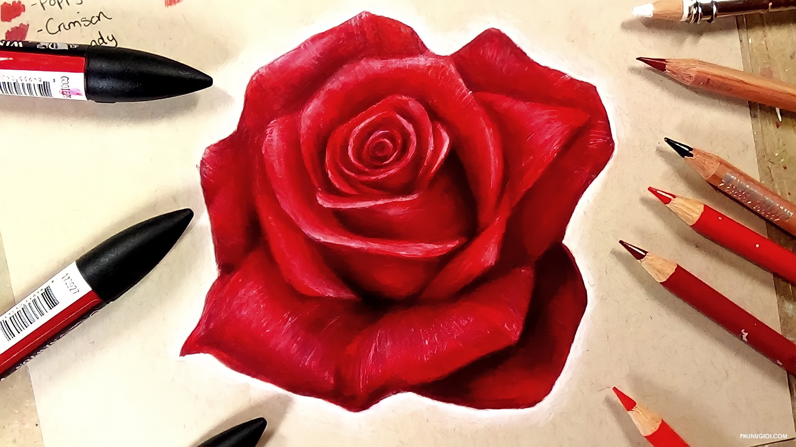 Cách vẽ hoa hồng đơn giản nhất bằng bút chì, bút màu, cách vẽ hoa ...