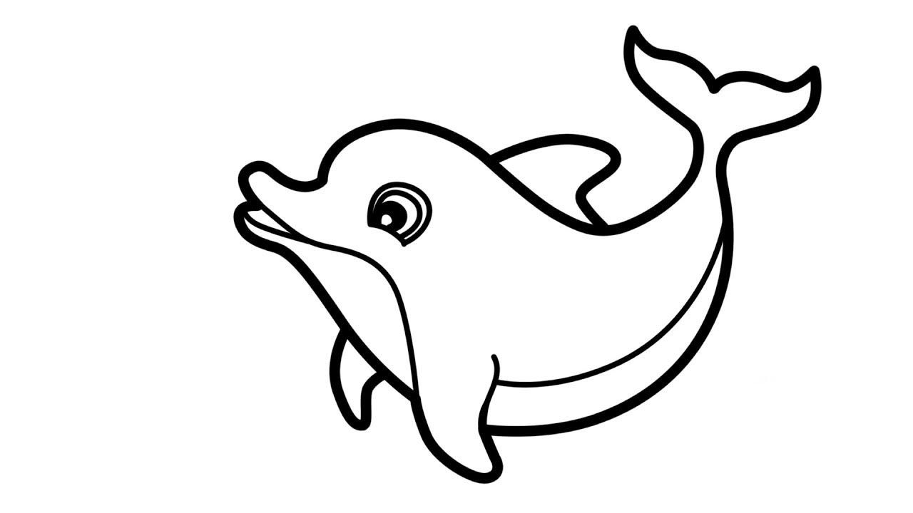 Cách vẽ Vẽ cá voi 3d bằng phần mềm vẽ 3d