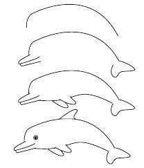 Cách Vẽ Hoạt Hình Con Cá Heo, How To Draw A Cartoon Dolphin