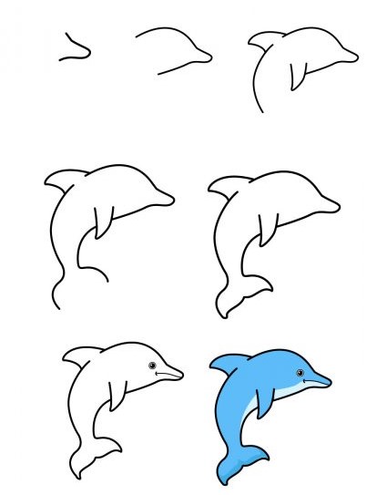 Cách Vẽ Hoạt Hình Con Cá Heo How To Draw A Cartoon Dolphin