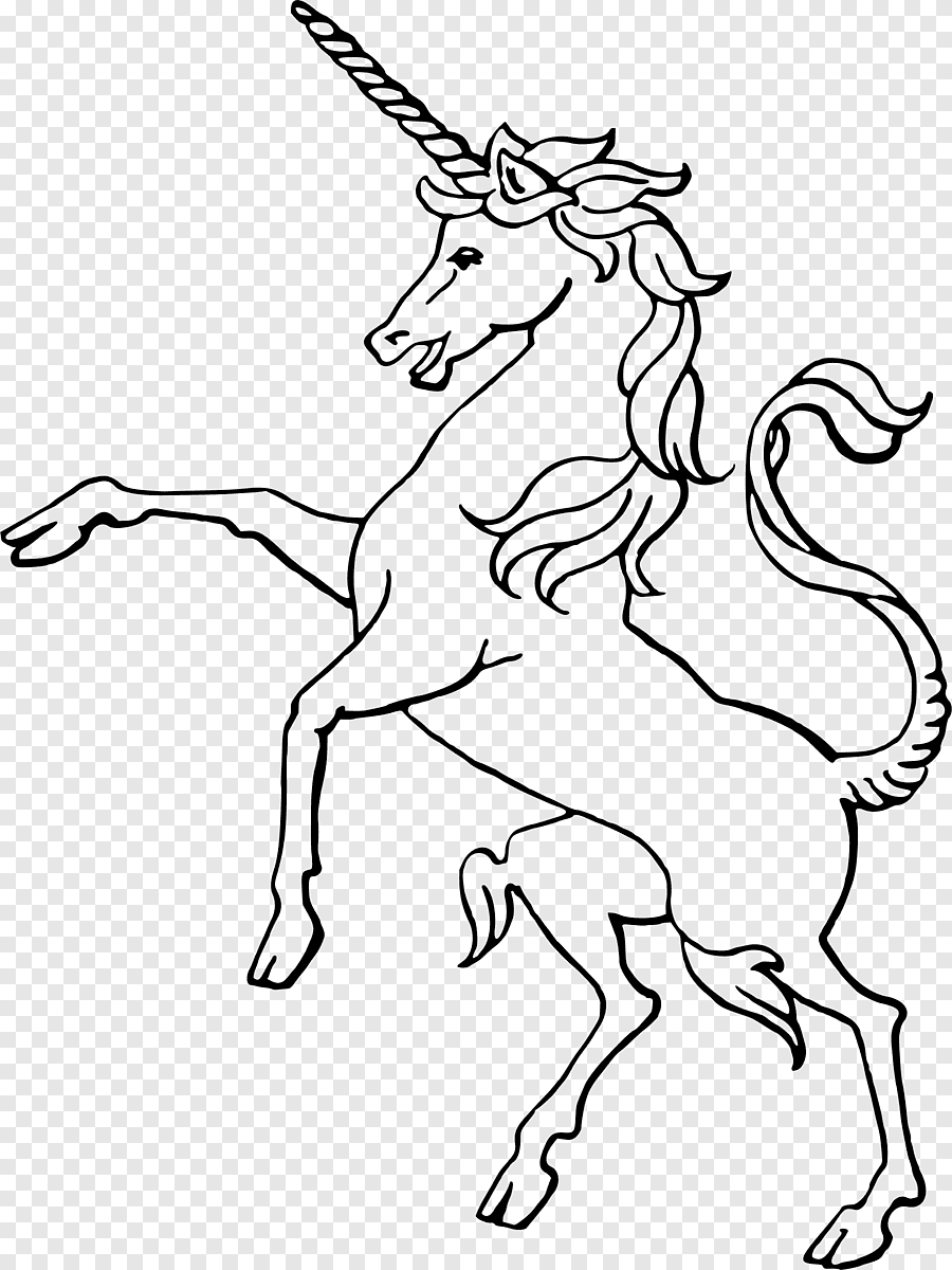 Cách vẽ con ngựa đơn giản đẹp nhất dành cho bé Mẫu hình vẽ ngựa