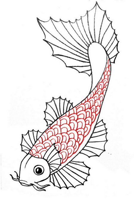 Chia sẻ hơn 56 về cá chép hình vẽ hay nhất  Du học Akina