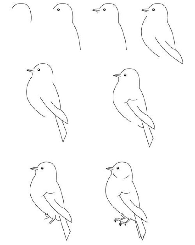 Chia sẻ với hơn 67 vẽ tranh con chim siêu đỉnh  Tin Học Vui