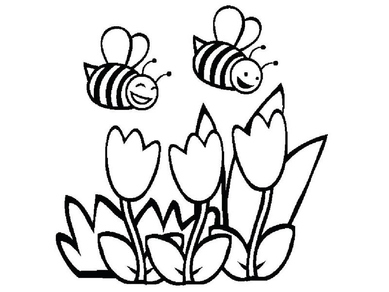 Chia sẻ với hơn 69 về hình vẽ tổ ong hay nhất  coedocomvn