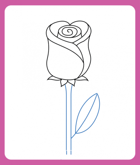 Cách vẽ hoa hồng Dạy Vẽ