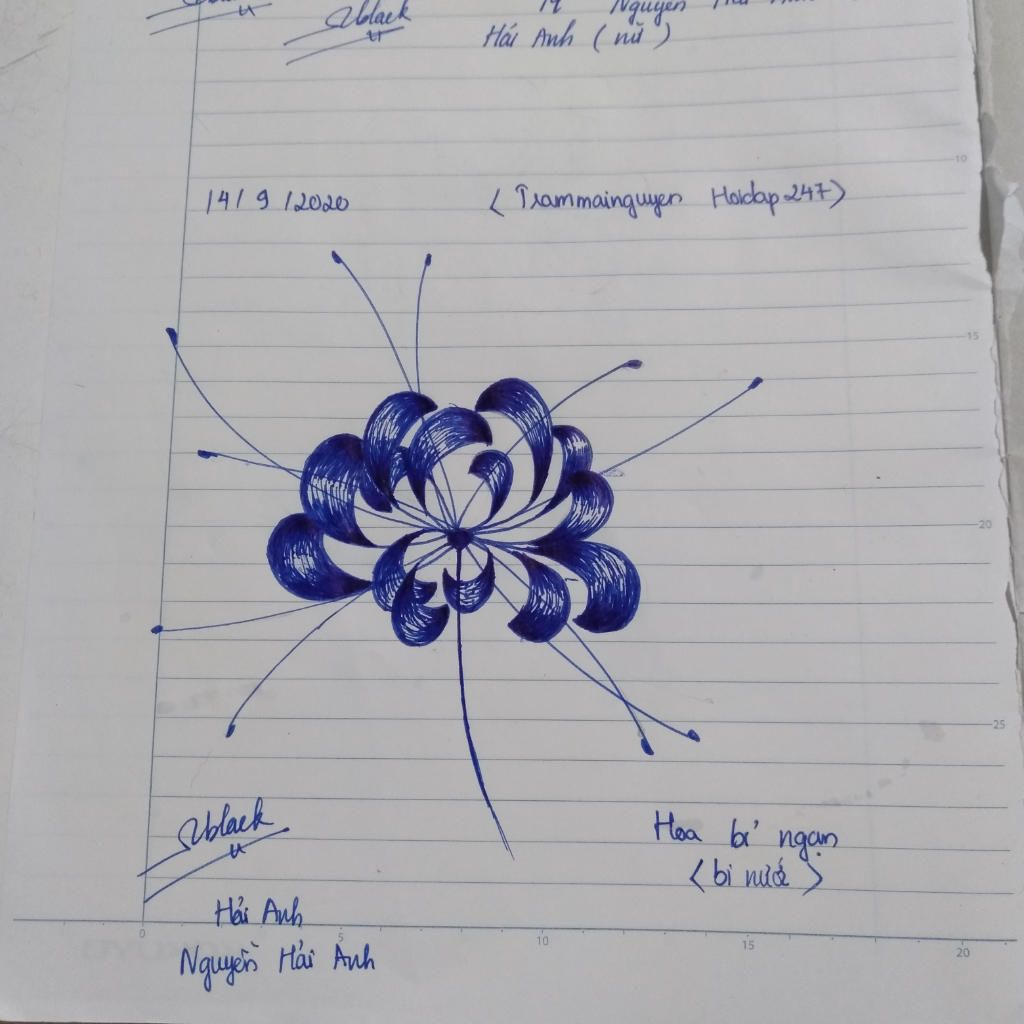 Cách vẽ hoa bỉ ngạn  Dạy Vẽ