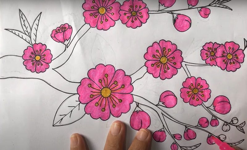 Tranh Vẽ Hoa Anh Đào, Cách Vẽ Hoa Anh Đào Đơn Giản, Đẹp, Cách Vẽ Hoa Anh Đào