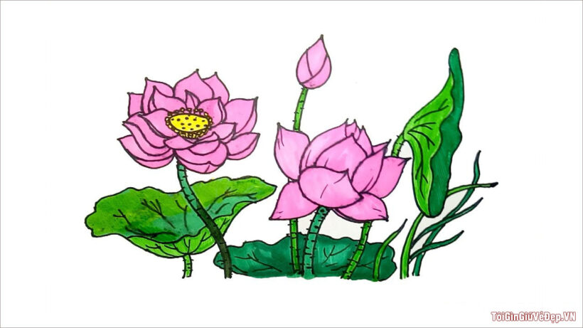 3 Cách Vẽ Bình Hoa Sen Đơn Giản, Hình Vẽ Hoa Sen Đẹp Nhất, 15+ Tranh Vẽ Hoa  Đơn Giản Mà Đẹp, Dễ Như Ăn Kem