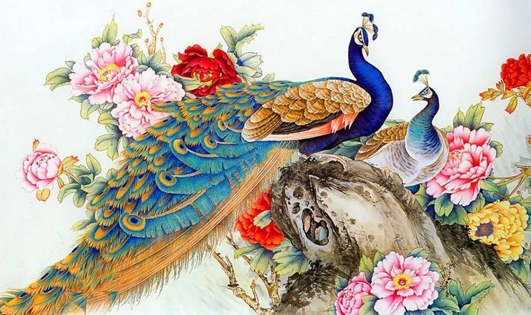 VẼ CON CÔNG I Hướng Dẫn Dạy Cách Vẽ Con Công Xòe Đuôi Đơn Giản Đẹp I draw  peacock - YouTube