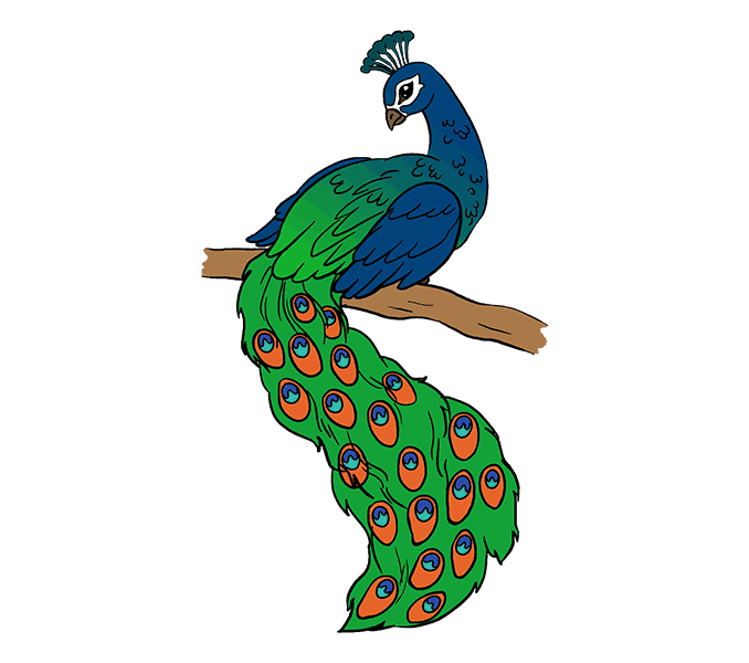 Ý nghĩa hình ảnh chim công trong Phong thủy
