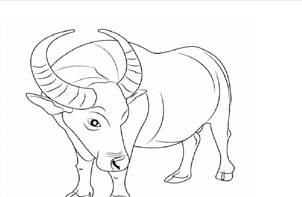 Cách vẽ con bò đực  Dạy Vẽ