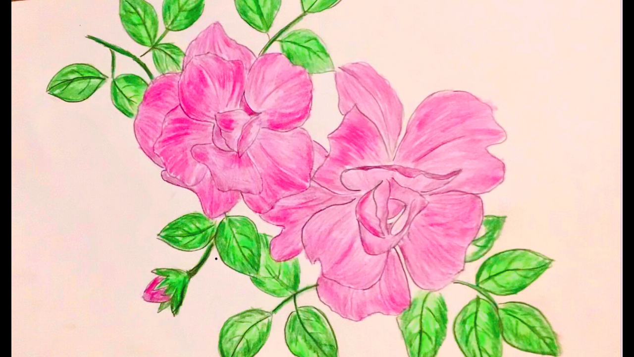 Cách vẽ hoa Violet đơn giản đẹp nhẹ nhàng đầy duyên dáng