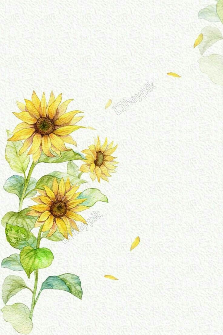 Hình vẽ hoa hướng dương 3d, vẽ tranh hoa hướng dương đơn giản mà ...