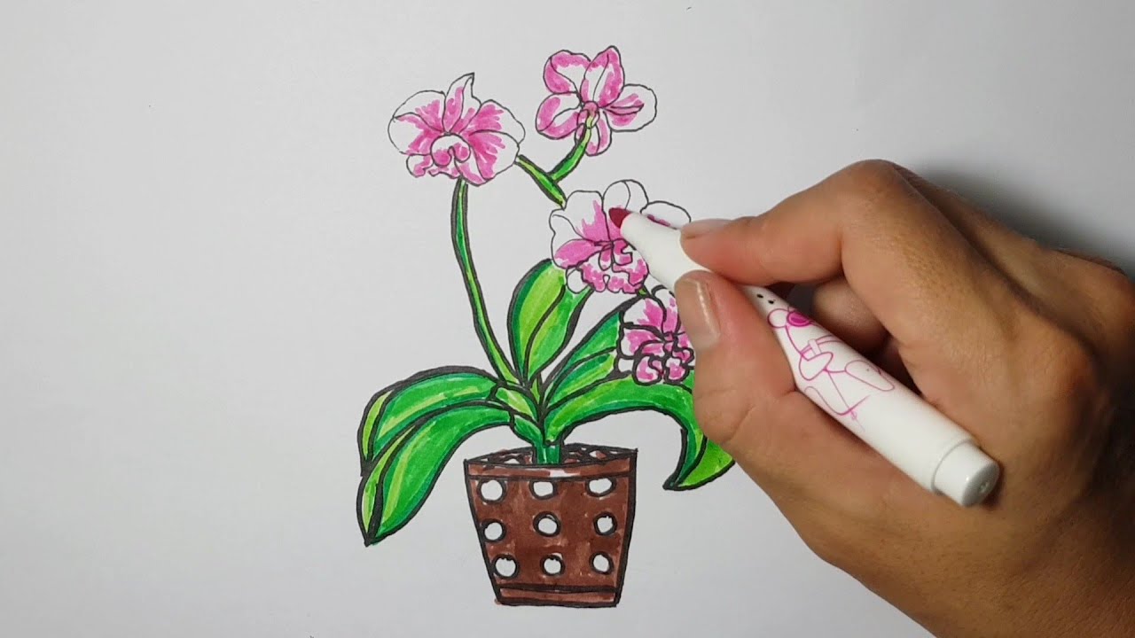 Vẽ hoa lan đơn giản trong 5 phút, 3 cách vẽ hoa lan (orchid) vừa ...