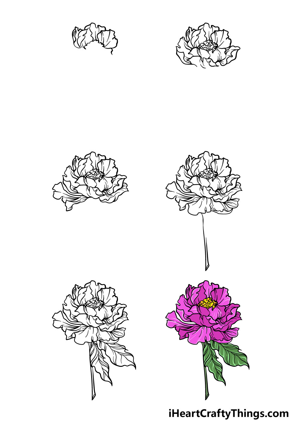 254) vẽ hoa mẫu đơn đơn giản đẹp làm hoạ tiết trang trí, vẽ hoa ...